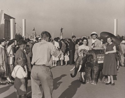 Na fotografii widać plecy fotografa, który robi zdjęcie dwóm kobietom i mężczyźnie stojącym przy atrapie małego słonia.  Mężczyzna w jasnym stroju, z kaskiem podróżniczym na głowie, lewą ręką oparty o słonia. Kobiety ubrane w sukienki, pozują do zdjęcia, jedna z nich trzyma oparty na ramieniu parasol przeciwsłoneczny. Na drugim planie tłum ludzi stojących ludzi, skupionych wokół jakiegoś wydarzenia. W tle widoczny pomnik wdzięczności oraz gala banderowa statku z rozpiętymi flagami na masztach.  W prawym, dolnym rogu sucha imienna pieczątka: „E. ZDANOWSKI/GDYNIA”.
Na odwrocie pieczątka w tuszu: „EDMUND ZDANOWSKI/ ART. FOTOGRAFIK/ czł. ZPAF/ Gdynia, 3 Maja 22/24 m.19”