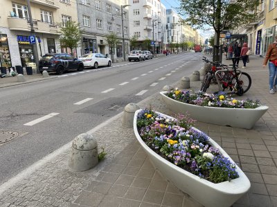 Pasy rowerowe w jezdni ul. Świętojańska w Gdyni // mat. Moblina Gdynia