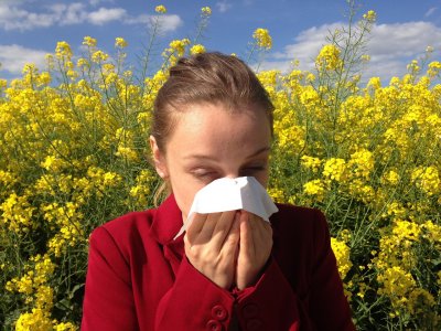 Co pyli w Gdyni? alergia wziewna