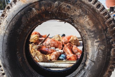 Śmieci wydobyte z Mariny Gdynia podczas World Cleanup Day (fot. Piotr Szafran)