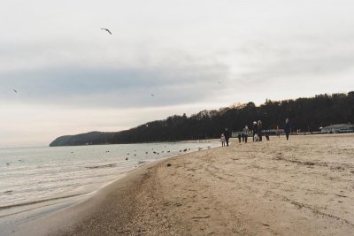 Wydział Środowiska UM Gdynia zaprasza na spacery ornitologiczne brzegiem Bałtyku. Źródło: Wydział Środowiska UM Gdyni