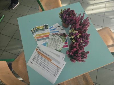 Spotkania organizowane w dzielnicach to idealna okazja, by zadawać pytania, poznać zasady ubiegania się o środki finansowe i sprawdzić, jak skompletować dokumenty (fot. materiały Wydziału Energetyki)