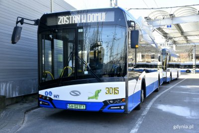 Gdyński biało-niebieski autobus z napisem na wyświetlaczu 