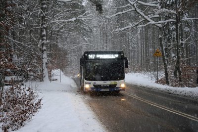 10 lutego komunkacja miejska w Gdyni będzie bezpłatna (fot. Facebook ZKM Gdynia)
