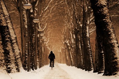 Rowerem zimą, źródło: pixabay.com