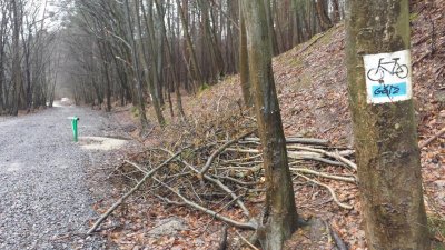 W ramach projektu zmodernizowany zostanie niebieski szlak rowerowy w NPK, fot. Jakub Furkal