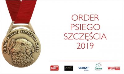 Ciapkowo wyróżnione Orderem Psiego Szczęścia // fot. www.cztery-lapy.pl