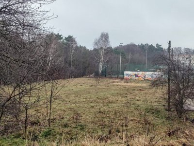 Polana przy ul. Nauczycielskiej zostanie zagospodarowana w ramach rewitalizacji Witomina // fot. Aleksandra Dylejko 
