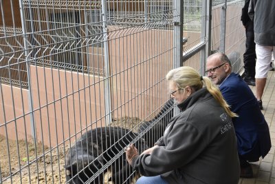Pieski z Radys w gdyńskim „Ciapkowie