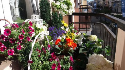 Pokaż nam swój balkon! // fot. mat. archiwalne