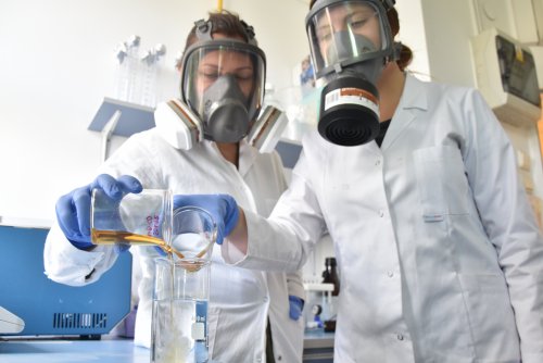 Prace w Bio Laboratorium PPNT Gdynia (fot. materiały prasowe PPNT Gdynia)
