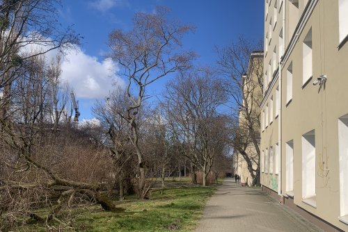 Fragment ciągu pieszego: wzdłuż al. Zwycięstwa od ul. Harcerskiej do Biblioteki Wzgórze (fot. D. Matejczyk)