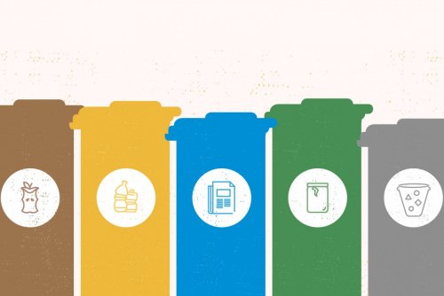 Nowe harmonogramy odbioru odpadów znajdziemy na stronie wyrzucamto.pl (fot. materiały prasowe)