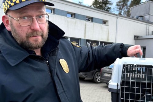 Leonard Wawrzyniak z uratowanym gołębiem (fot. Ekopatrol).