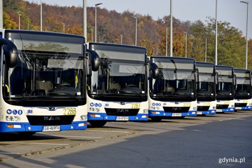 Autobusy przy Polsat Plus Arenie Gdynia (fot. arch. Paweł Kukla)