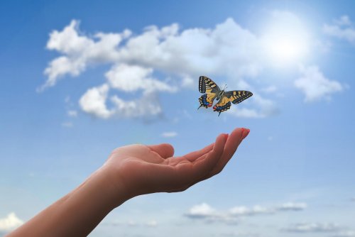 15 kwietnia przypada Światowy Dzień Trzeźwości (fot. Pixabay)