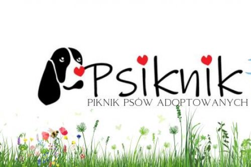 II piknik psów adoptowanych „Psiknik” w Parku Kolibki 