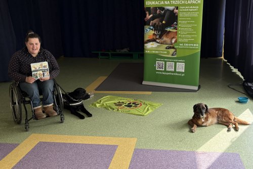 W Przedszkolu nr 19 w Gdyni odbyły się warsztaty z dostępności (fot. Wiktoria Kargul/Artur Kukiełko)