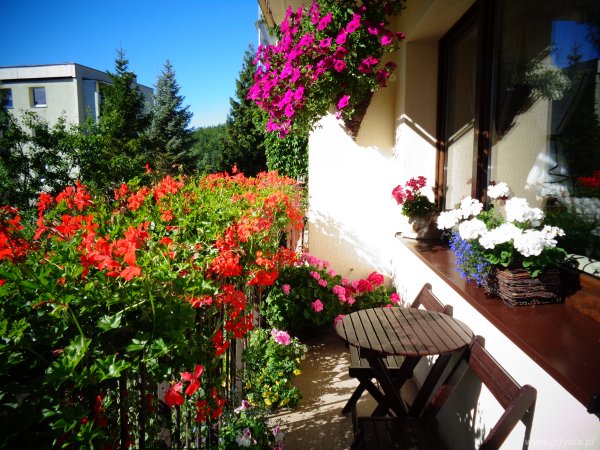 Miejscy ogrodnicy do dzieła, czyli 