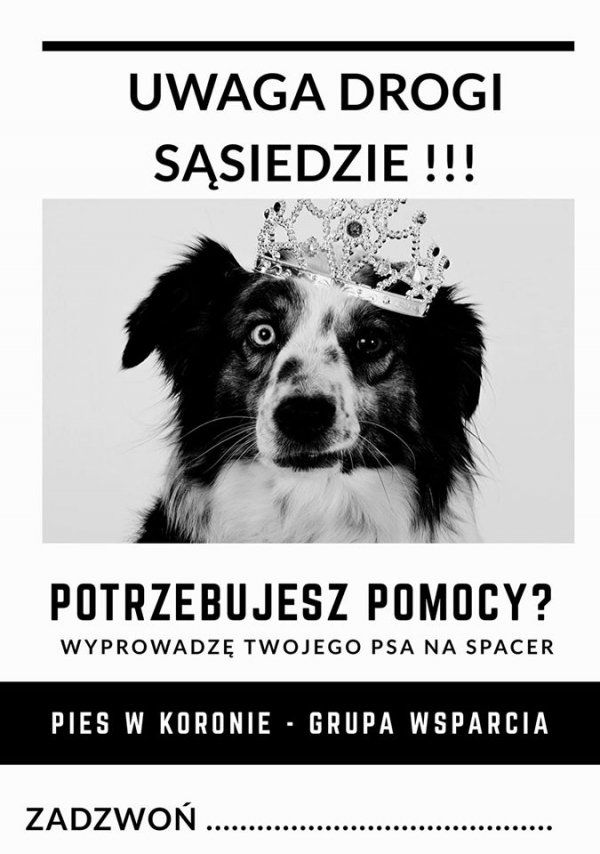 Pies w Koronie – grupa wsparcia dla psiarzy w czasie pandemii COVID-19