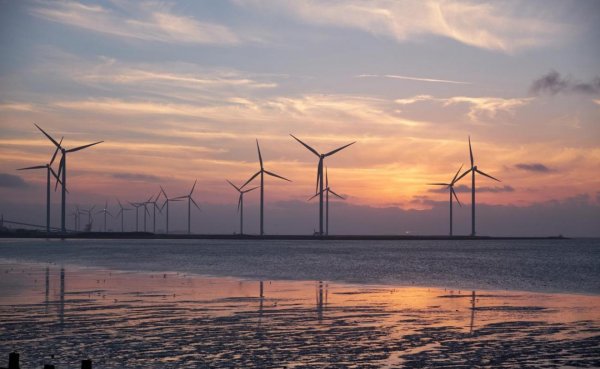 Uniwersytet wspiera morskie farmy wiatrowe
