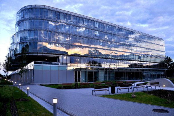 Jak cyfrowo sprzedawać i zarabiać?