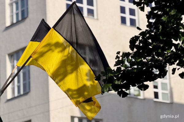 Gdynia w czarno-złotej szacie – flaga kaszubska ma swoje święto