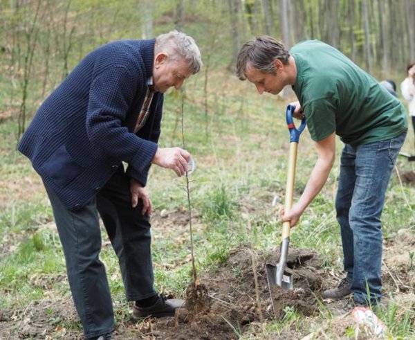 Nową kolekcję drzew w Marszewie posadzili... kosmonauci