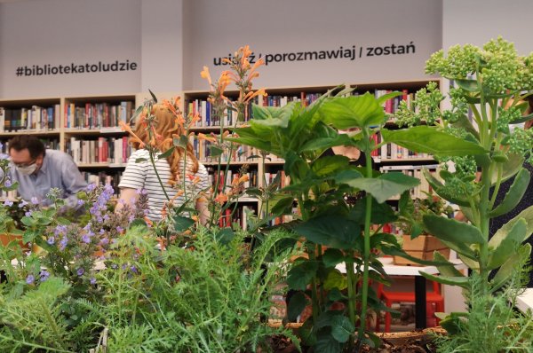 Biblioteka Gdynia animuje gdyńską kulturę