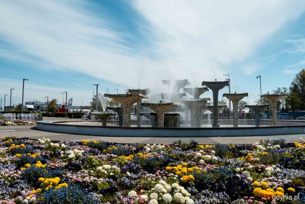 Woda w fontannach znów płynie