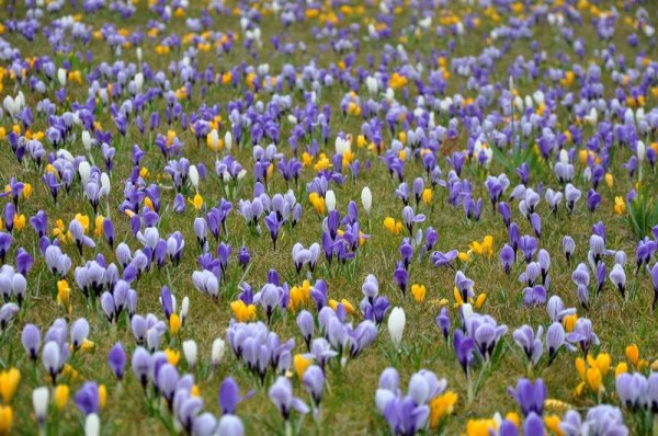 Gdynia odmieniona na wiosnę