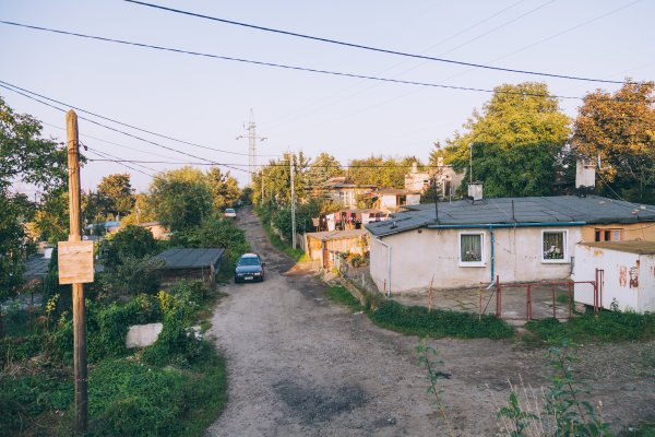 Znaleźć bezpieczny dom poza Wzgórzem Orlicz-Dreszera 