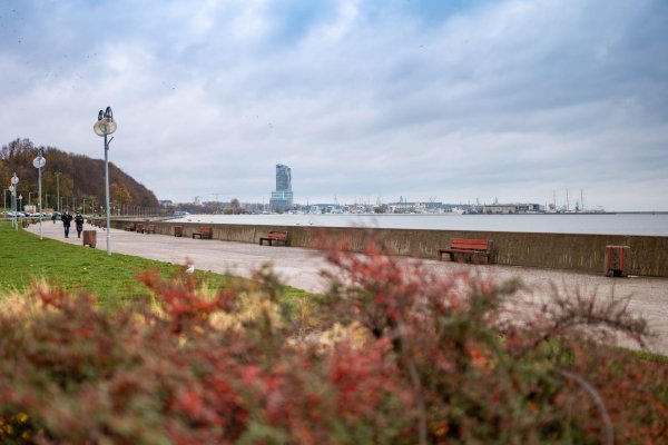 UrbanCafé zaprasza na wykłady online. Rozmowy o klimacie