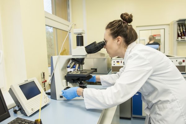 InnovaBio Pomorze - ruszają nowatorskie badania