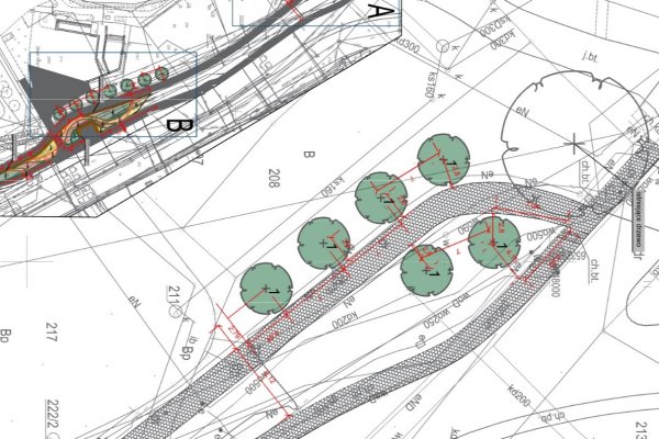 Projekt: zieleń. Ponad 34 tysiące nowych roślin w Gdyni