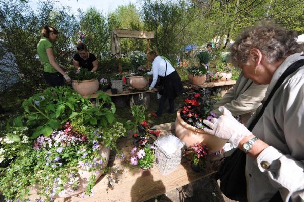 Park Kolibki cały w kwiatach – targi ogrodnicze