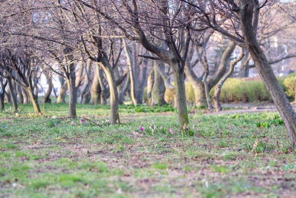 Jak spędzić weekend #wGdyni?