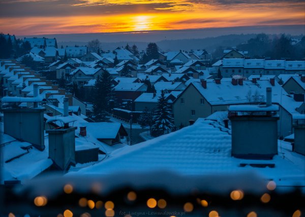 Tak Gdynia dba o czyste powietrze