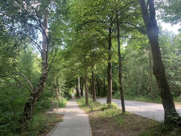 Budowa oświetlenia chodnika w ciągu ulicy Augustyna Krauzego – szukamy wykonawcy