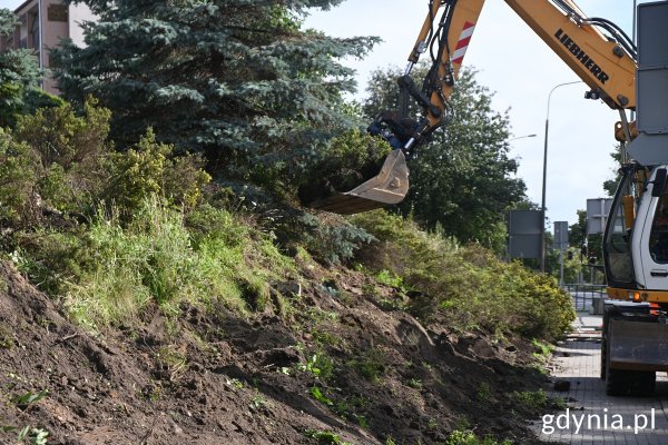 Krzewy z Witomina trafiły do mieszkańców