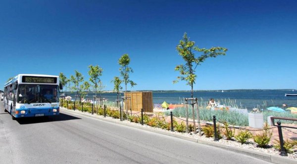  Autobusem na plażę. ZKM Gdynia uruchamia dodatkowe kursy