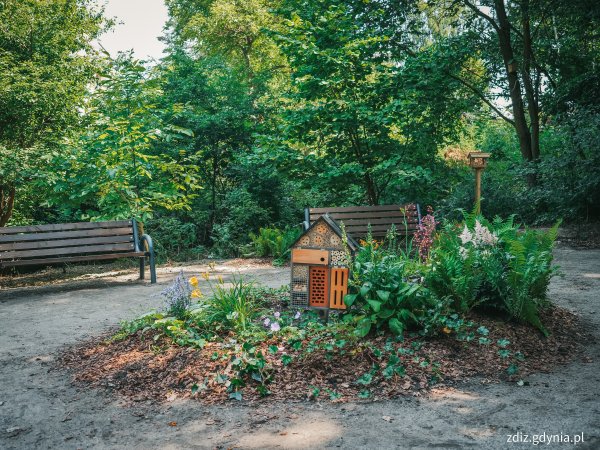 Nowy park kieszonkowy w dzielnicy Grabówek