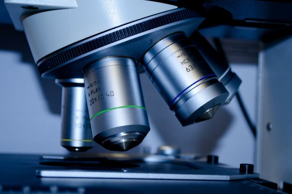  InnovaBio Pomorze! Gdyńskie laboratorium pomoże w biznesie