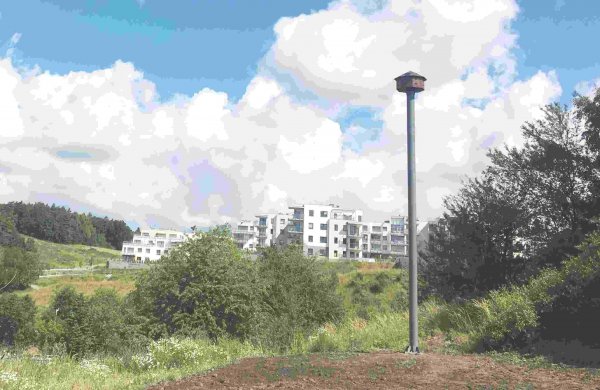 Jerzyki z Karwin zamieszkają w wieży