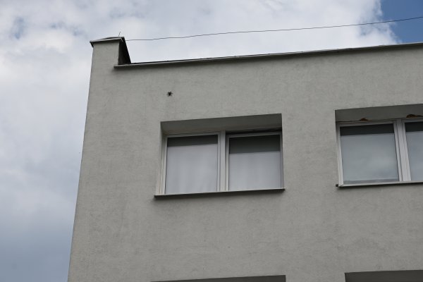 Pająk uciekł z terrarium. Akcja służb w centrum Gdyni