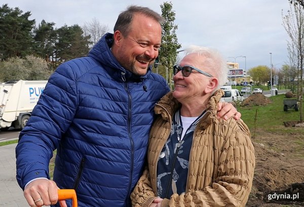 Nowe drzewa w Gdyni 
