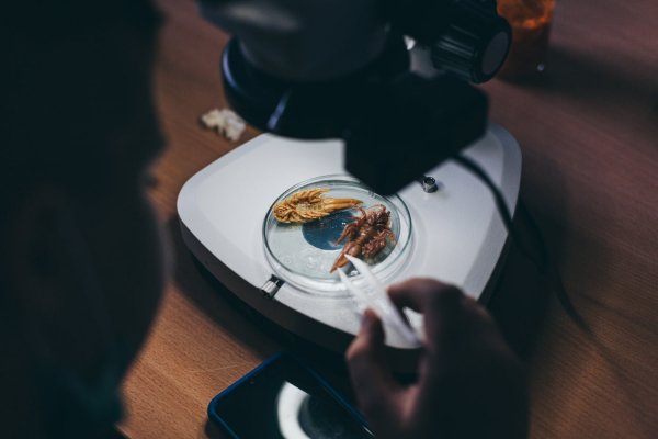 Edukacja online z Akwarium Gdyńskim