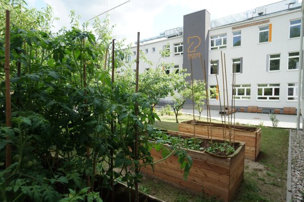 Ogród społeczny na Oksywiu rozkwitnie dzięki mieszkańcom