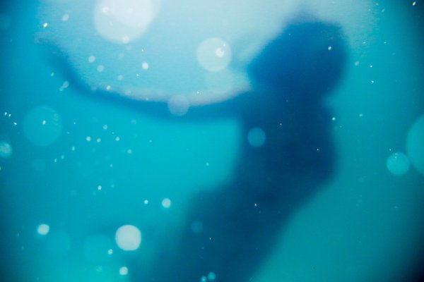 Ocean i człowiek. Weź udział w konkursie