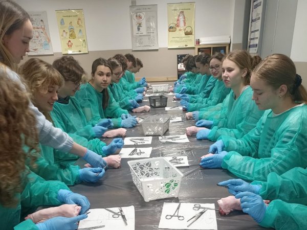 Szkoły ponadpodstawowe na Szkolnym Festiwalu Nauki